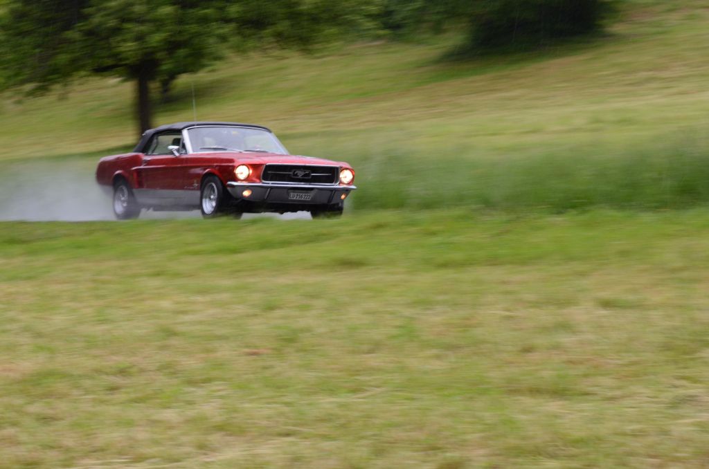 SMR 2015 130.jpg